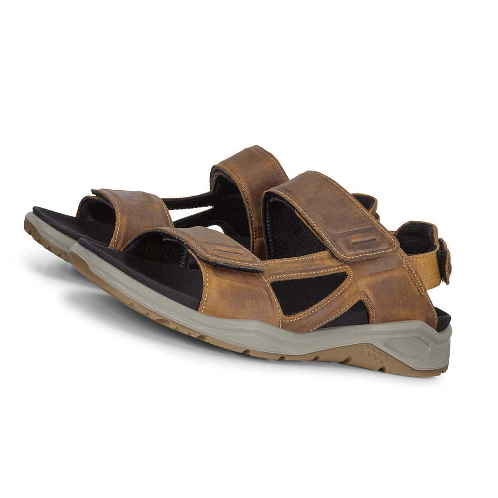 Men's Ecco X-trinsic Flat Sandals Brown | Canada 592LIS